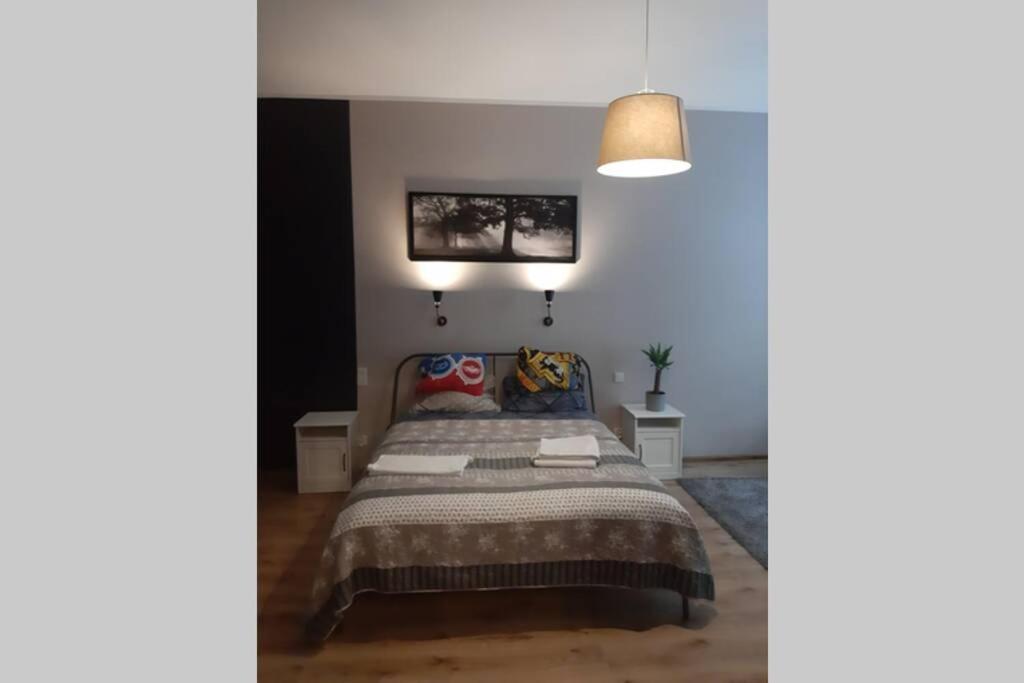 Sophus Respite. Samo Centrum Krakowa Dış mekan fotoğraf