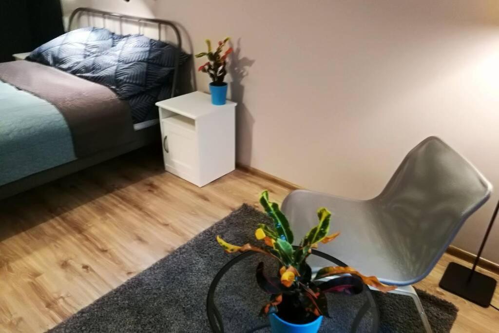 Sophus Respite. Samo Centrum Krakowa Dış mekan fotoğraf